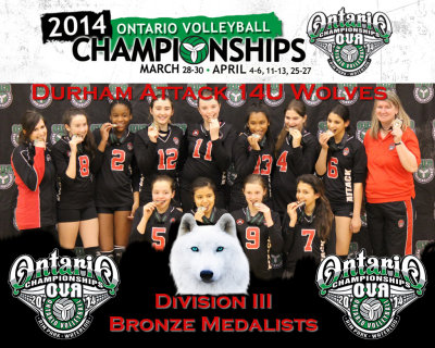 2013-2014 Girls 14u White
