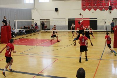 IMG_9920 (800x534).jpg