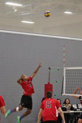 IMG_9993 (533x800).jpg