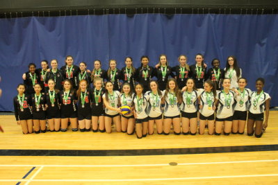 bugarski cup all teams.jpg