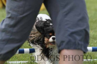 Masters Standard 4