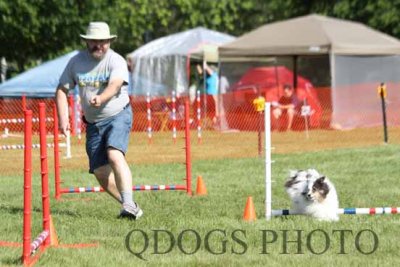 Steeplechase 3