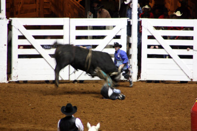 Fort Worth Stock Show & Rodeo