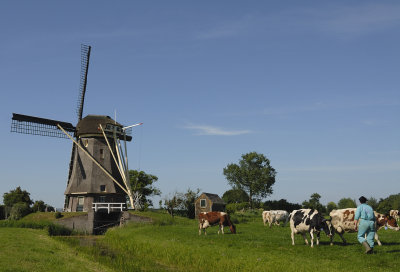 Hoekermolen