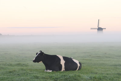 Ondermolen O