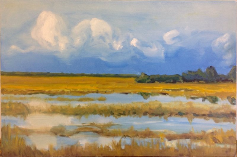 Morning Clouds over Fall Marsh Grass