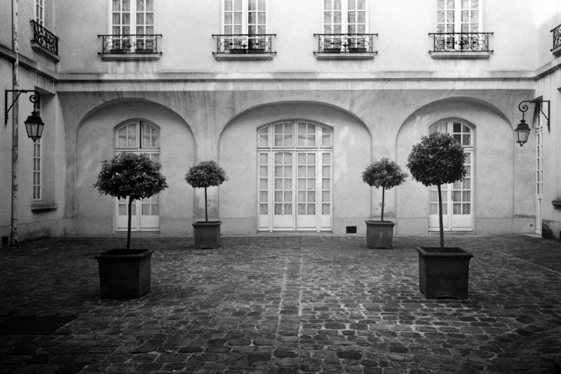 Courtyard Natural History