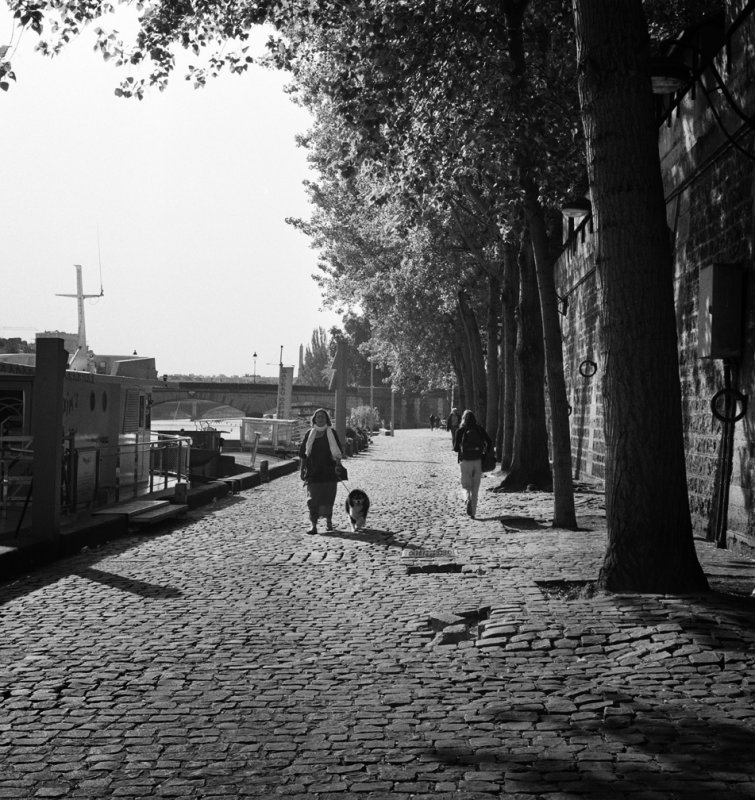 Seine Early Walkers