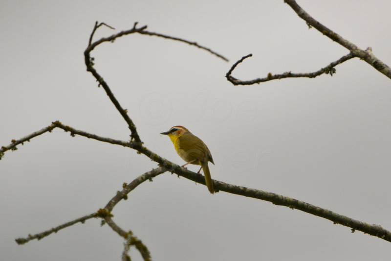 Chalk Bluff Park 5-24-13 0251.JPG