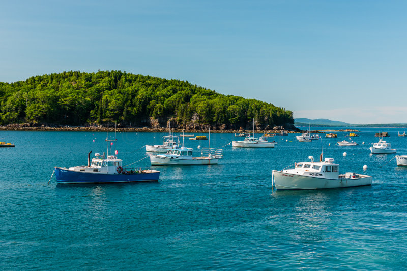 Acadia ME 7-3-15 0191-0003.jpg