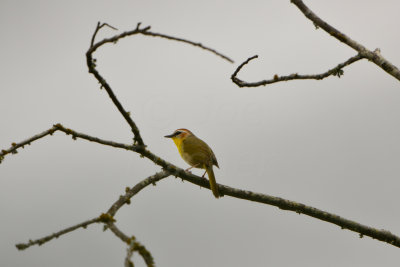 Chalk Bluff Park 5-24-13 0251.JPG