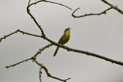 Chalk Bluff Park 5-24-13 0264.JPG