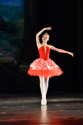 Danielle's Dance Recital 6-23-13 0128.JPG