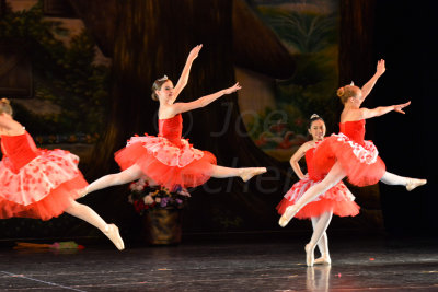 Danielle's Dance Recital 6-23-13 0196.JPG