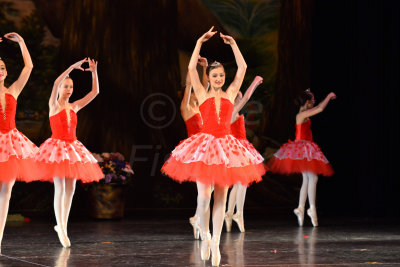 Danielle's Dance Recital 6-23-13 0207.JPG