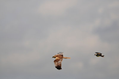Waterland NL 6-16-12 1707.JPG