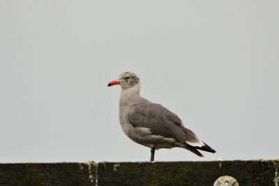 La Push WA 8-17-13 0766.JPG