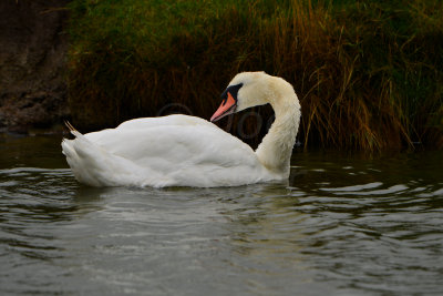 Texel NL 9-14-13 0160.JPG