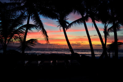 Tobago 3-11-13 0861.JPG