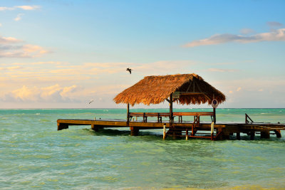 Tobago 3-11-13 1150.JPG