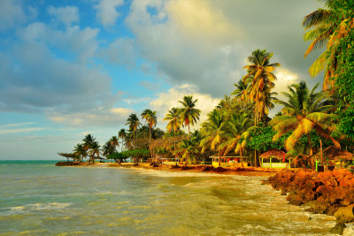 Tobago 3-11-13 1151.JPG