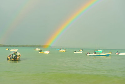Tobago 3-13-13 1480.JPG