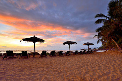 Tobago 3-15-13 2104.JPG