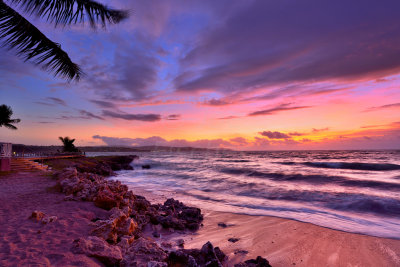 Tobago 3-15-13 2051.JPG