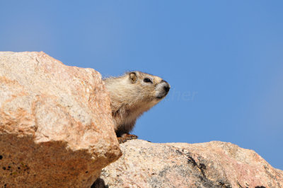 Beartooth Scenic Hwy WY 7-18-13 2293.JPG