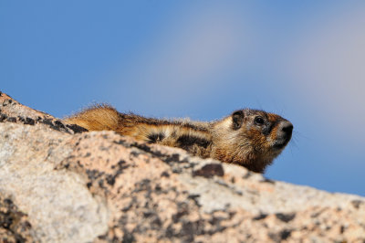 Beartooth Scenic Hwy WY 7-18-13 2307.JPG