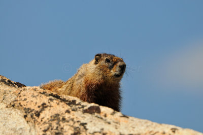 Beartooth Scenic Hwy WY 7-18-13 2310.JPG