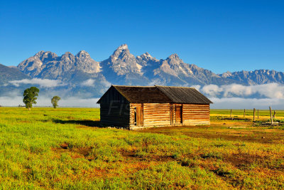 Grand Teton NP 7-12-13 0986.JPG