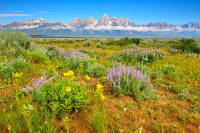 Grand Teton NP 7-12-13 1024.JPG