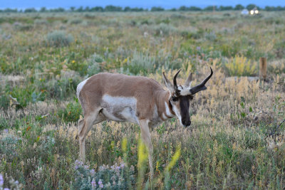 Grand Teton NP 7-21-13 3215.JPG