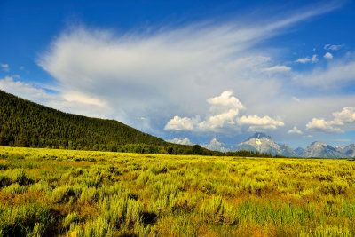 Grand Teton NP 7-13-13 1134.JPG