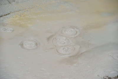 Yellowstone NP 7-16-13 1731.JPG