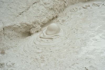 Yellowstone NP 7-16-13 1801.JPG