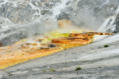 Yellowstone NP 7-16-13 1819.JPG