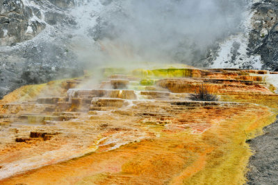 Yellowstone NP 7-16-13 1820.JPG