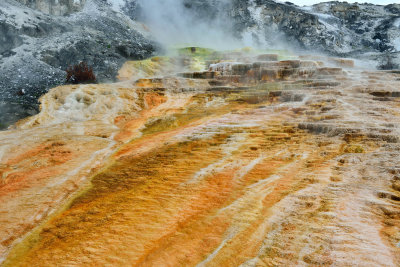Yellowstone NP 7-16-13 1824.JPG