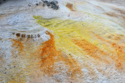 Yellowstone NP 7-16-13 1836.JPG