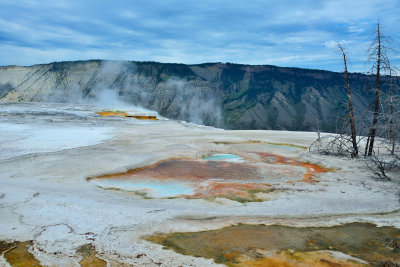 Yellowstone NP 7-16-13 1837.JPG