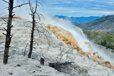 Yellowstone NP 7-16-13 1842.JPG