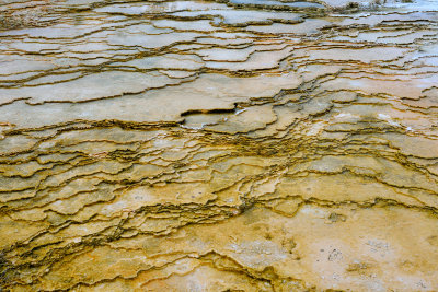Yellowstone NP 7-16-13 1843.JPG