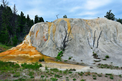 Yellowstone NP 7-16-13 1844.JPG