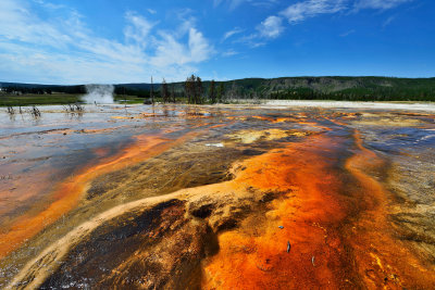 Yellowstone NP 7-17-13 2086.JPG