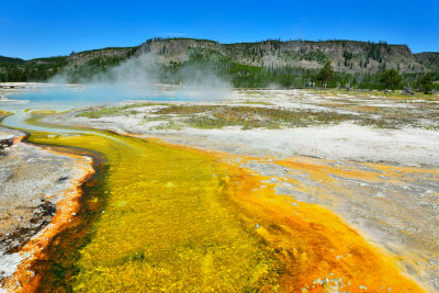 Yellowstone NP 7-17-13 2087.JPG