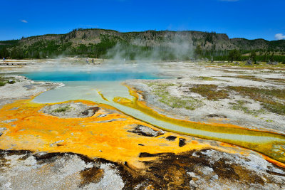 Yellowstone NP 7-17-13 2088.JPG