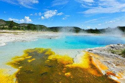 Yellowstone NP 7-17-13 2090.JPG