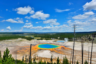 Yellowstone NP 7-17-13 2099.JPG